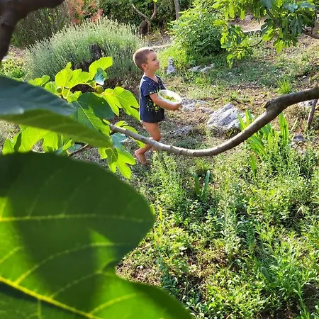On The River Baska Voda
