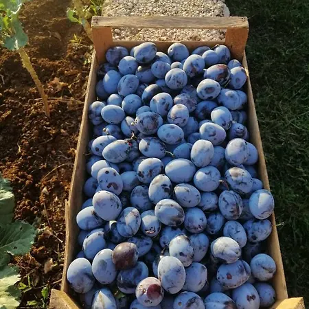 Lejlighed On The River Baska Voda Imotski