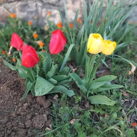 On The River Baska Voda Imotski