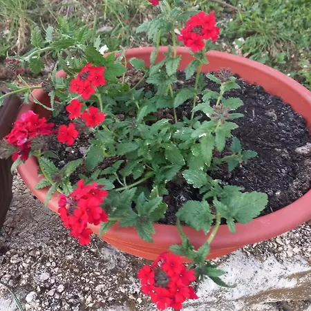 On The River Baska Voda Daire Imotski