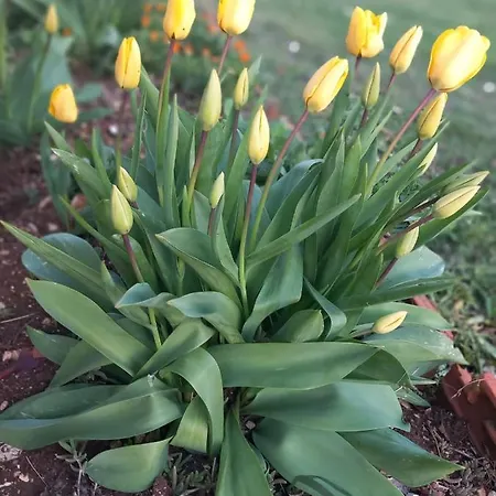 Lejlighed On The River Baska Voda Imotski