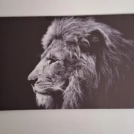 Daire On The River Baska Voda *