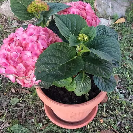 On The River Baska Voda Apartment *
